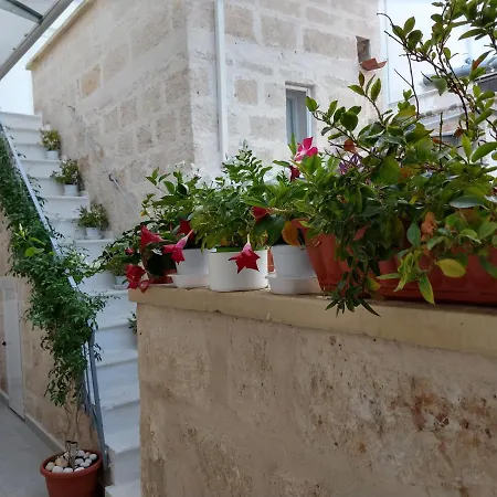 فندق مبيت وإفطار 20 Archi